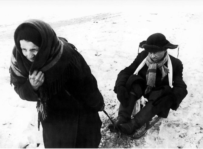 Wikipedia.org nuotr./Moteris veža rogutėmis iš bado paeiti nebesugebantį vyrą (1942 m. vasario 7 d.)