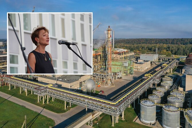15min koliažas/Lyda Lubienė