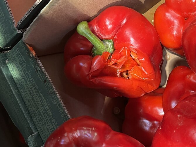 15min skaitytojo nuotr./Paprikos „Lidl“ parduotuvėje