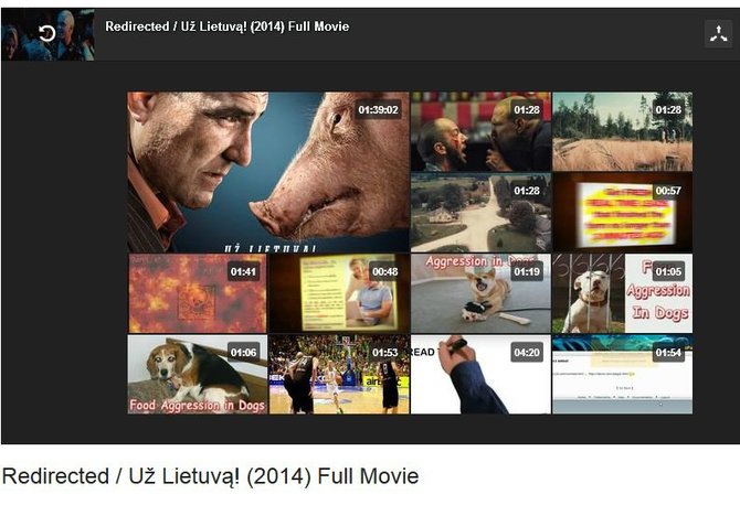 Stop kadras/Internete nemokamai galima parsisiųsti filmą „Redirected / Už Lietuvą!“.
