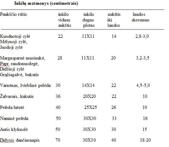 lentelė/Inkilų matmenys (centimetrais)