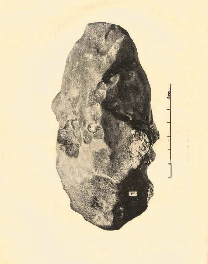 Nuotr. iš prof. M.Kaveckio brošiūros „Žemaitkiemio meteoritas. Der Meteorit von Žemaitkiemis“/Didžiausias Žemaitkiemio meteorito fragmentas, sveriantis daugiau nei 7 kg.