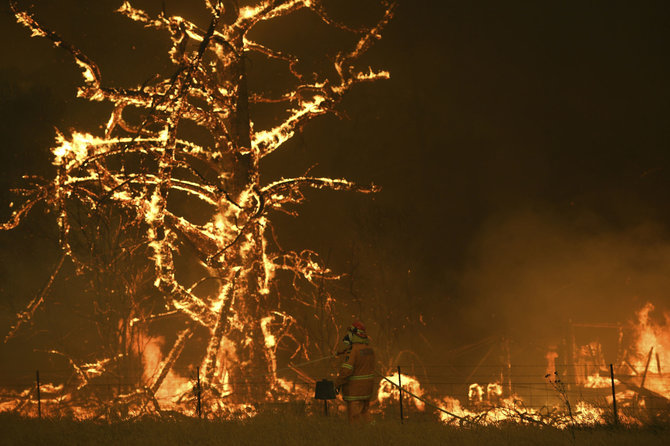 „Scanpix“ nuotr./Krūmynų gaisrai Australijoje