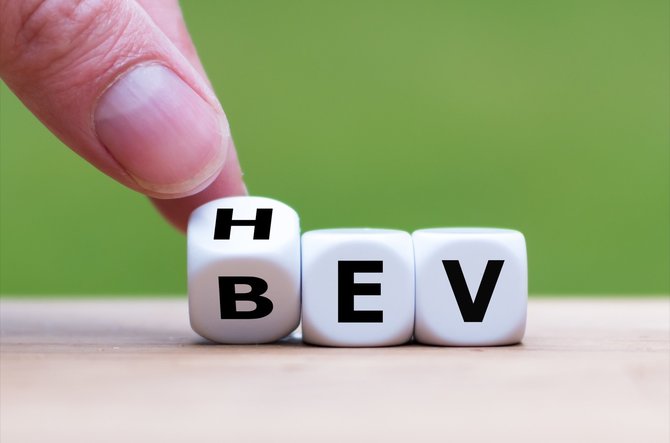 HEV ar BEV (Shutterstock nuotr.)