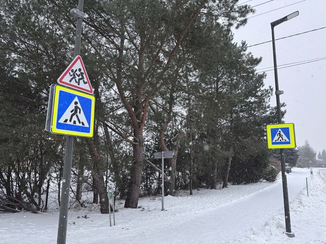 Kas vyksta Kaune iliustr./Pėsčiųjų perėjų ženklai Technikumo gatvėje (Kas vyksta Kaune nuotr.) 1