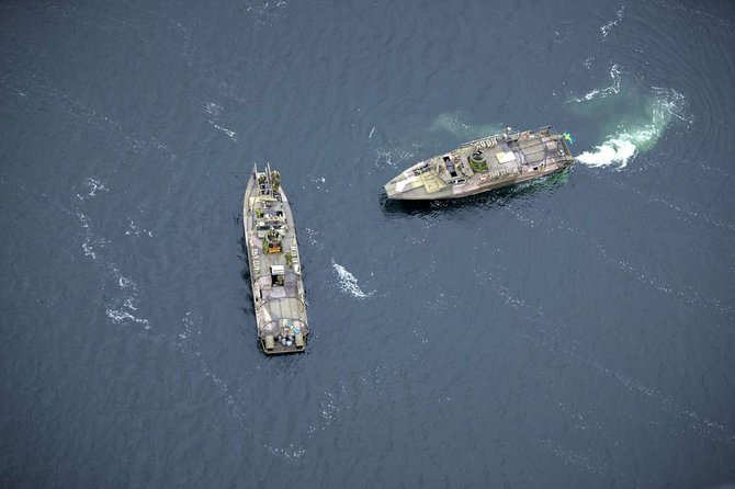 „Reuters“/„Scanpix“ nuotr./Švedijos karininiai laivai
