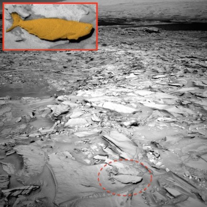 ufosightingsdaily.com iliustr./Marso paviršiuje ufologai įžvelgė žuvies kontūrus