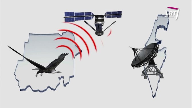 „Mokslo sriuba“: paukščių žiedavimą pakeitė moderniosios technologijos