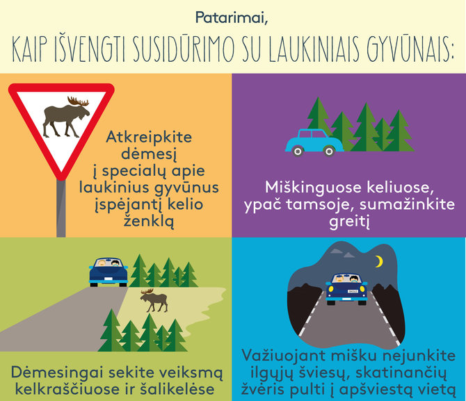 Gjensidige iliustr./Kaip išvengti susidūrimo su gyvūnais