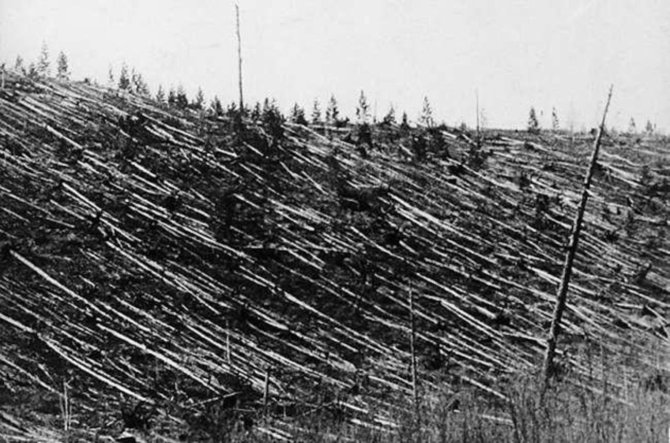 Bendras taigos išvartų plotas viršija 2000 km² – medžiai, sugulę tarsi šiaudų stiebeliai, buvo parblokšti didžiulės jėgos./ Iliustracijos šaltinis: Lietuvos etnokosmologijos muziejus. 