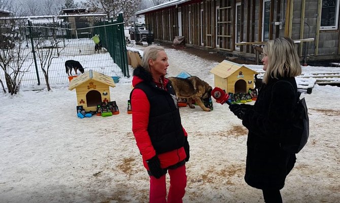 SOS gyvūnai nuotr./Prieš Kalėdas beglobiai gyvūnai įsikurs unikaliuose namukuose
