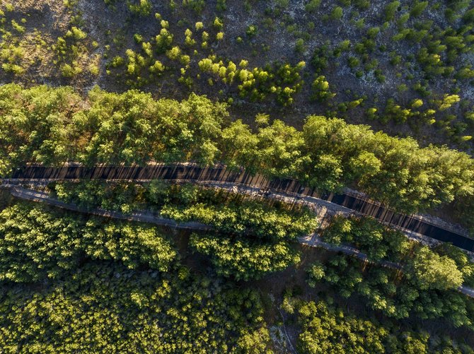 Irmanto Gelūno / BNS nuotr./Rekonstruotas dviračių takas Smiltynė–Juodkrantė