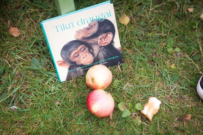 Irmanto Gelūno/15min.lt nuotr./Andrius Tapinas prie Rusijos ambasados valgė lenkiškus obuolius.