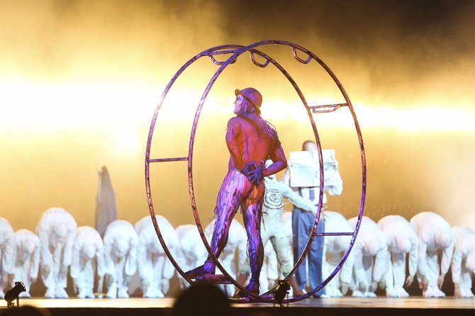 Irmanto Gelūno/15min.lt nuotr./„Cirque du Soleil“ pasirodymo „Quidam“ akimirka