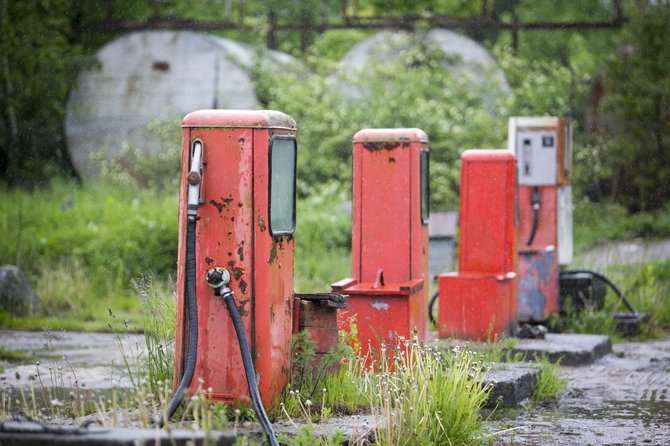 Irmanto Gelūno/15min.lt nuotr./Lietus gaivina gamtą ir merkia praeivius