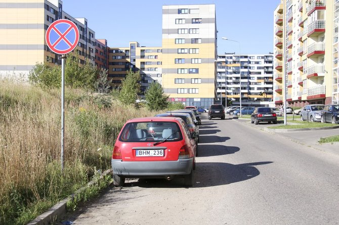 Irmanto Gelūno/15min.lt nuotr./Perkūnkiemis