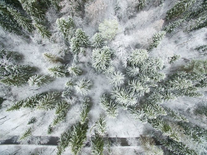 Irmanto Gelūno/15min.lt nuotr./Sniegas užklojo Vilnių balta antklode