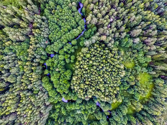 Irmanto Gelūno / 15min nuotr./Aukštaitijos nacionalinis parkas ir Labanoro giria iš paukščio skrydžio