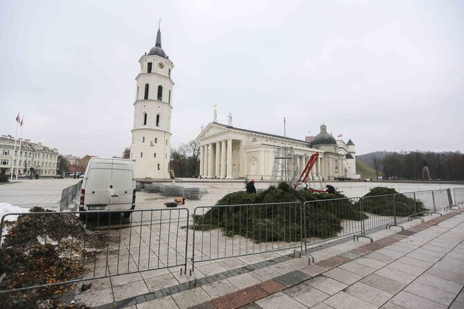 Irmanto Gelūno / 15min nuotr./Statoma Kalėdų eglė prie katedros