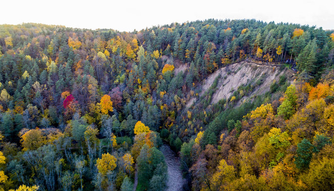 Irmanto Gelūno / 15min nuotr./Pūčkorių atodanga