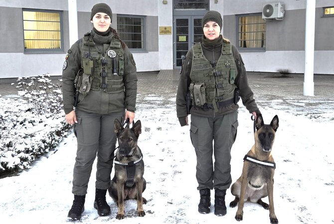 VSAT archyvo nuotr./Temos iliustracija: Lietuvos kinologės su šunimis