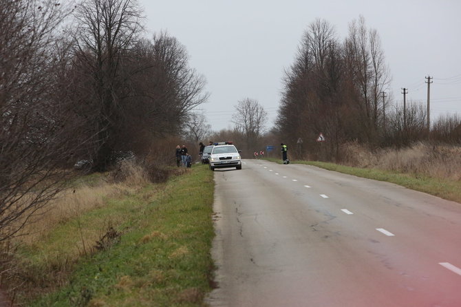 Nojaus nuotr./Parodymų patikrinimas įvykio vietoje: šioje šalikelėje netoli Priekulės V.Jankausko „Hyundai“ buvo nulėkęs į griovį.