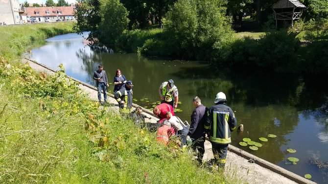 15min.lt nuotr./Užfiksuota dramatiška akimirka