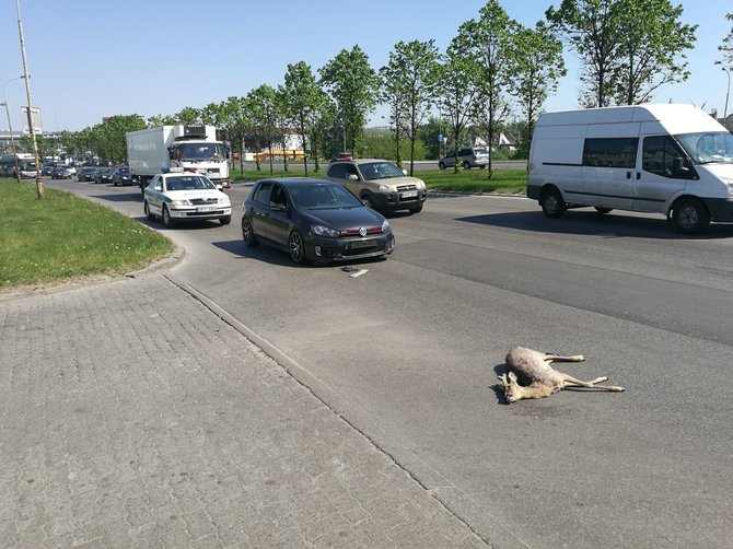 15min skaitytojo nuotr./Įvykio vietoje