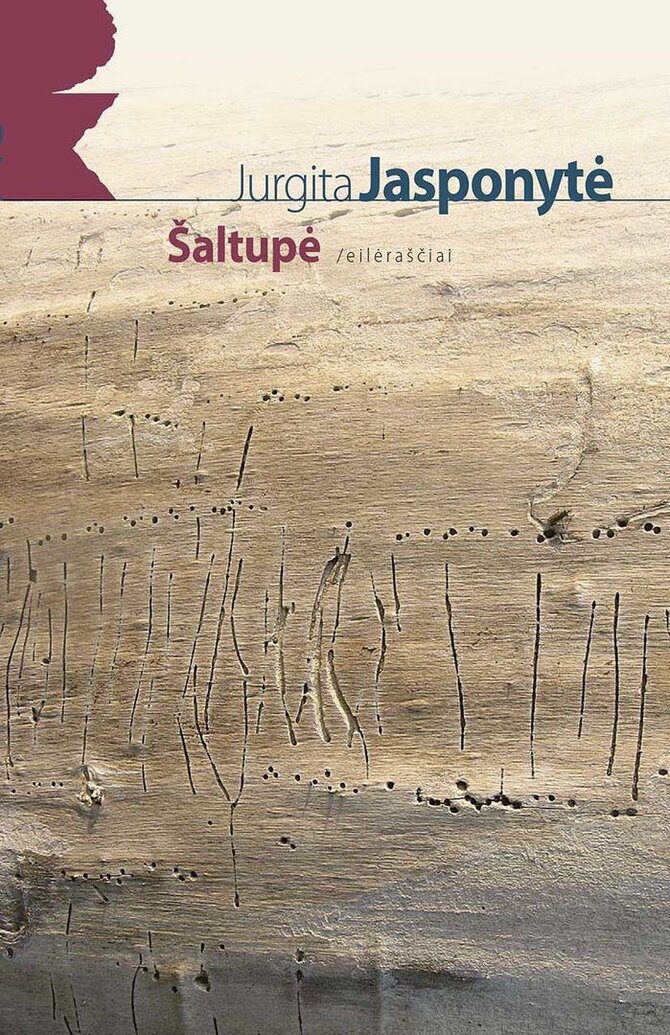 Rašytojų sąjungos leidyklos nuotr./Knygos viršelis