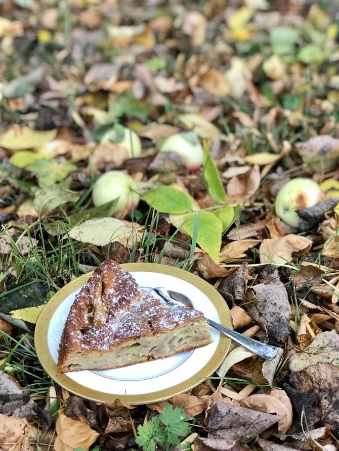 Autorės nuotr. /Obuolių pyragas su šildančiais meduolių prieskoniais