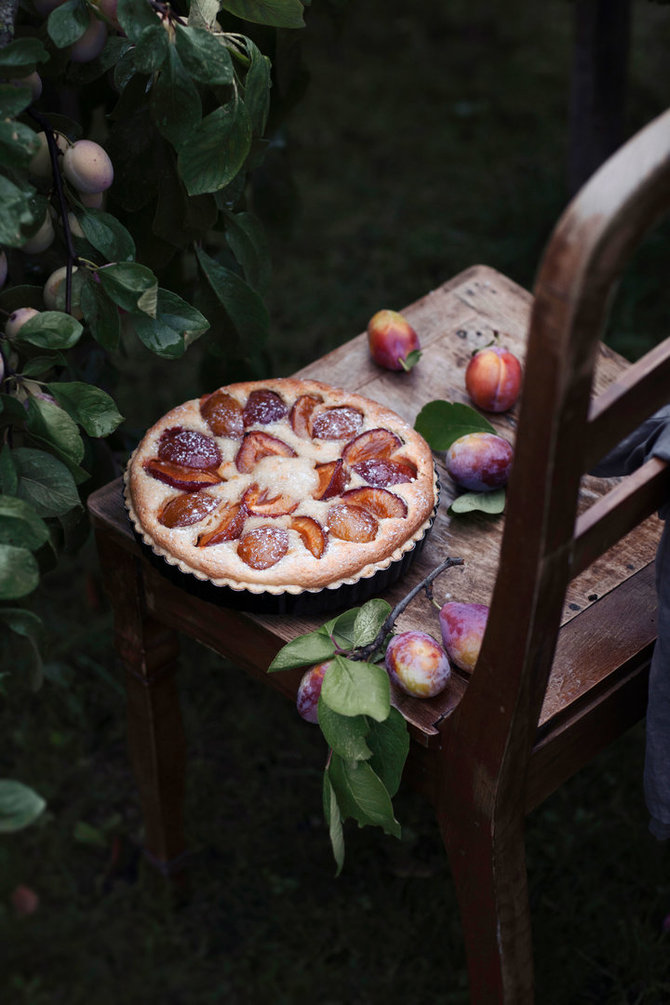 Giedrės Barauskienės nuotr. /Slyvų tarta