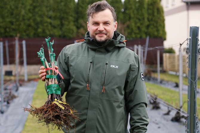 Organizatorių nuotr./Andrius Diliautas su sodinukais prie vynmedžių savo namo kieme