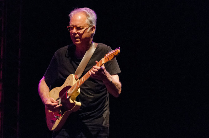 Vida Press nuotr./Bill Frisell