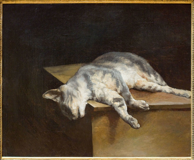 Vida Press nuotr./Théodore’o Géricault paveikslas „Negyvas katinas“