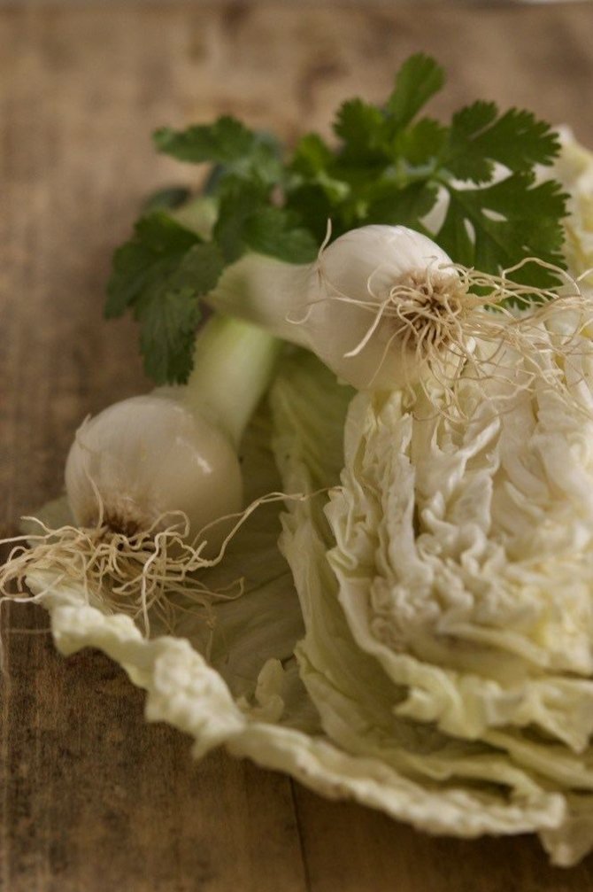 Dangiros Šimašiutės nuotr. /Kininio kopūsto salotų ingredientai