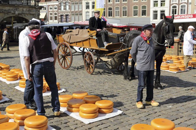 Vida Press nuotr./Goudos sūris mugėje Olandijoje