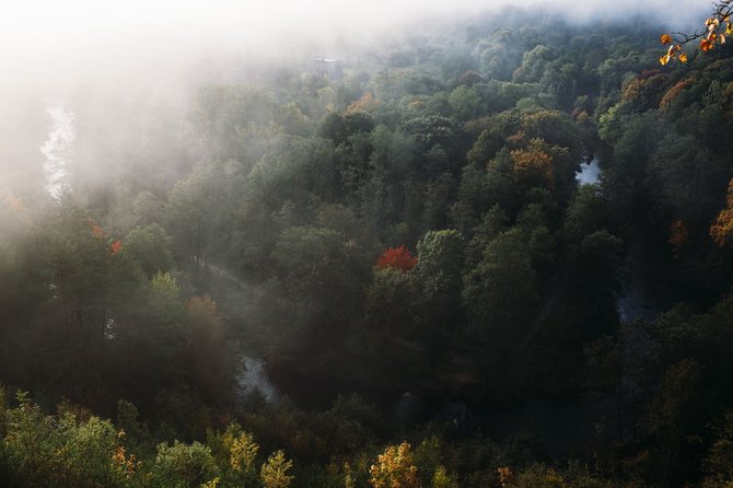 „Sarune Zurba photography“ nuotr./Nuotrauka iš knygos „Proud of Lithuania. A Fairy Tale by Sweet Root“