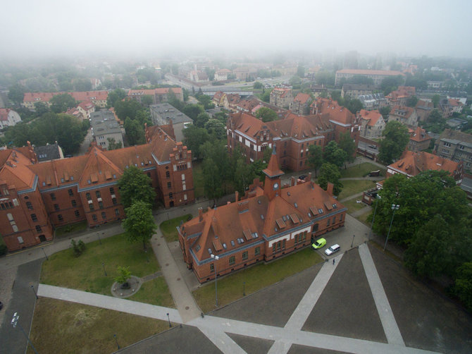 Eriko Ovčarenko / 15min nuotr./Klaipėdos universitetas