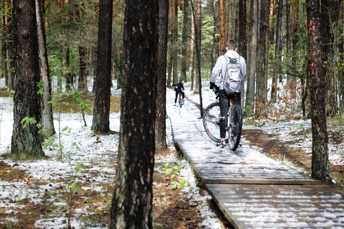 Eriko Ovčarenko / 15min nuotr./Smiltynų parkas ir jo prieigos