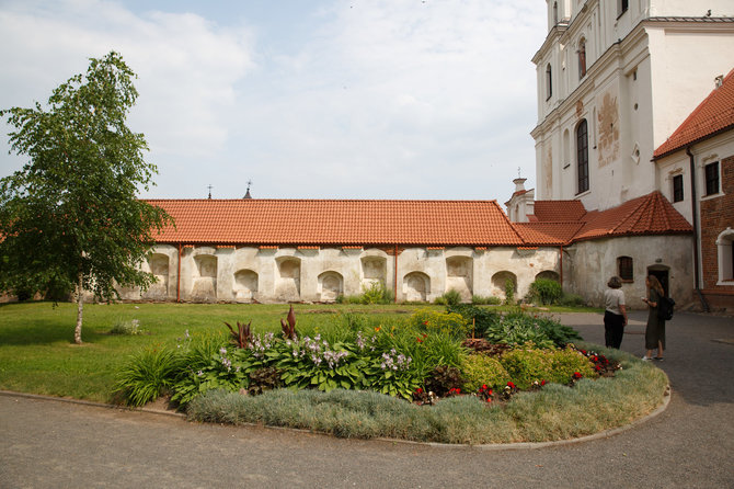 Eriko Ovčarenko / 15min nuotr./Ypatingasis Tytuvėnų bažnyčios ir vienuolyno ansamblio berželis