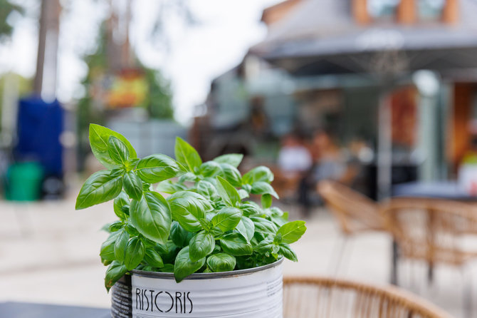 Eriko Ovčarenko/foto BNS/Pizzeria a Kačerginė