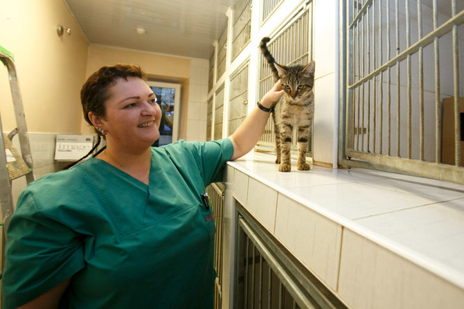 Eriko Ovčarenko/15min.lt nuotr./Veterinarijos gydytoja