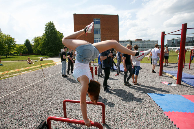 Eriko Ovčarenko / 15min nuotr./Gatvės gimnastika