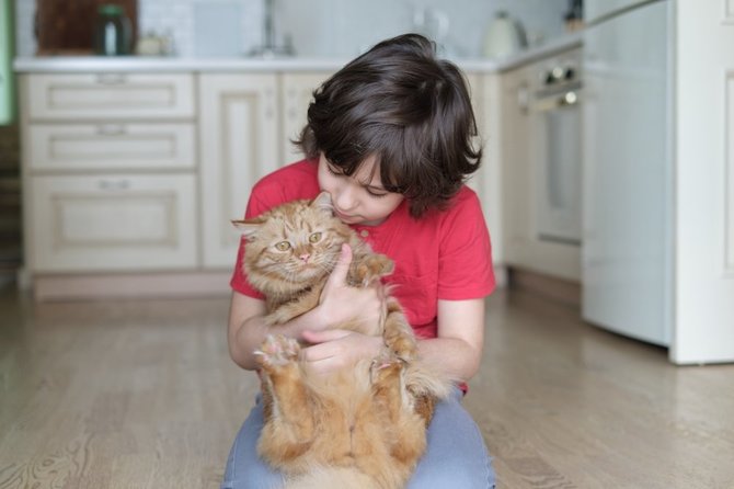 Shutterstock nuotr./Vaikai dažnai kirmėlinėmis infekcijomis užsikrečia po kontakto su lauke būnančiais naminiais gyvūnais