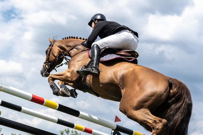 Shutterstock nuotr./Žirgų sportas (asociatyvinė nuotr.)