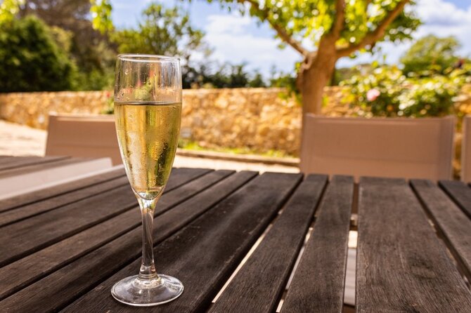 Shutterstock nuotr./Cava vynas kilęs iš Katalonijos