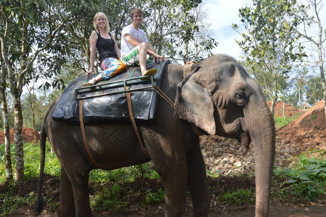 Kvaila turistinė pramoga – pasijodinėjimas ant dramblių