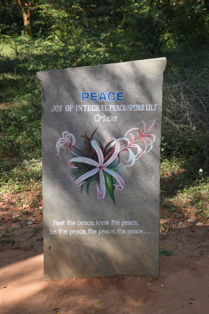 Ant akmens užrašytos Aurovilio vertybės