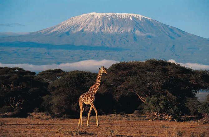 123rf.com nuotr./Kilimandžaras