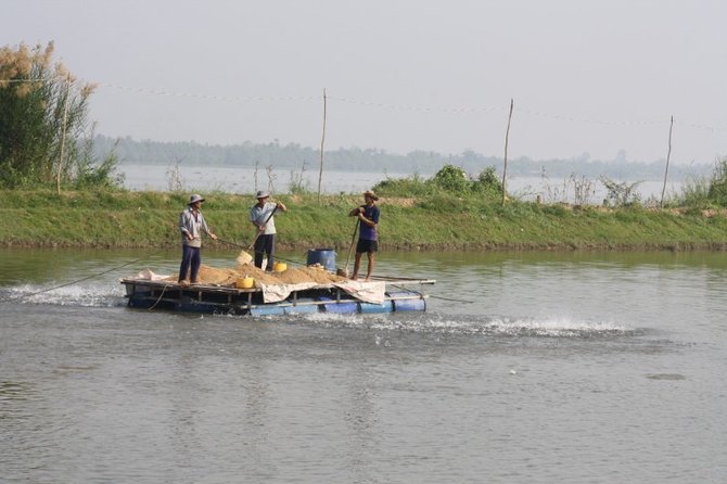 Živilės Neč/Mekongo upės deltoje amerikiečiams auginamos žuvys